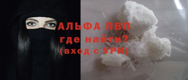 индика Аша