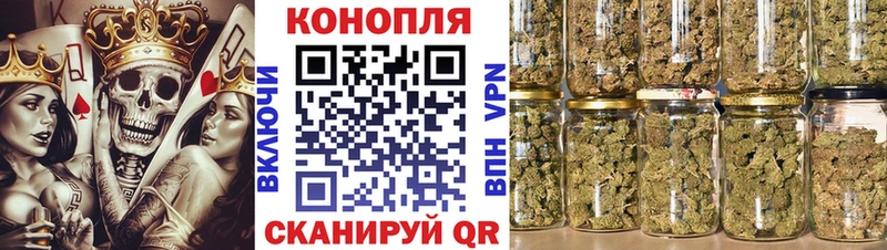Конопля семена  продажа наркотиков  Щучье 